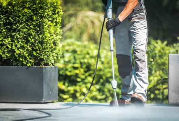 Best Roof Washing  in Gasport, NY