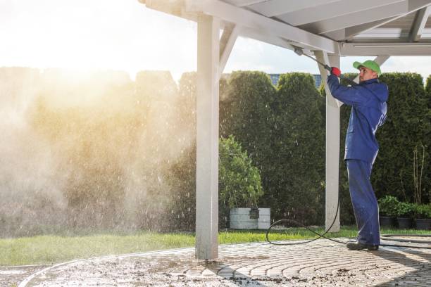 Best Oil Spill Cleanup  in Gasport, NY