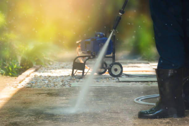 Best Dumpster Area Cleaning  in Gasport, NY